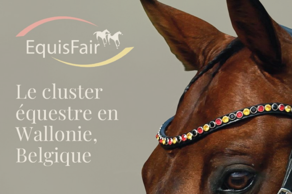 Equisfair, cluster équestre de wallonie