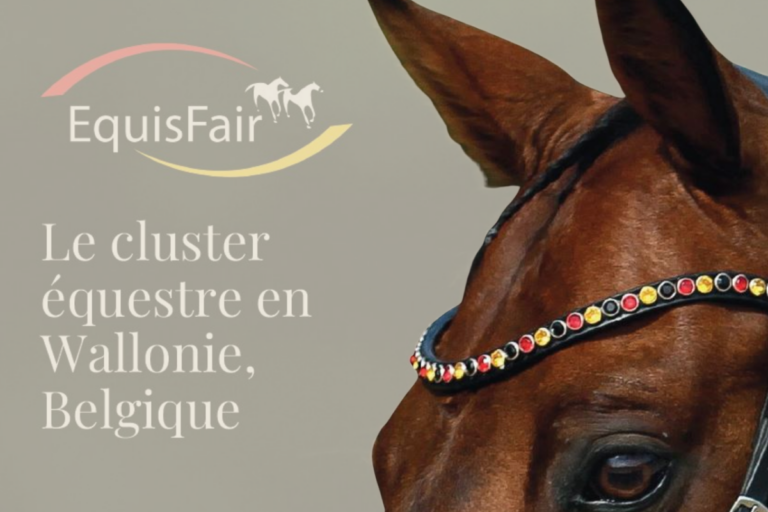 Angie Digital Strategy rejoint le cluster EquisFair