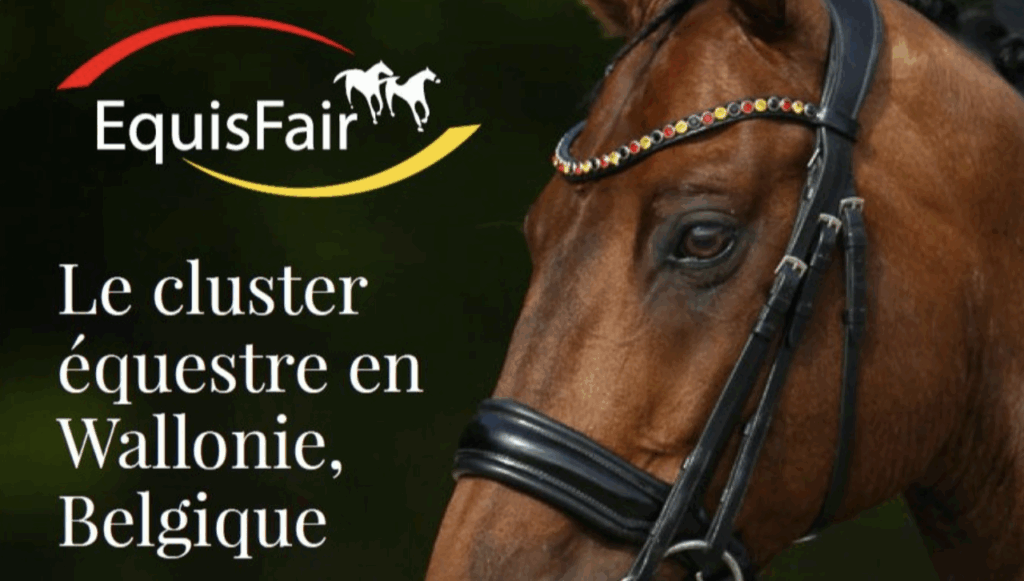 Cluster Equisfair fillière équine en Wallonie
