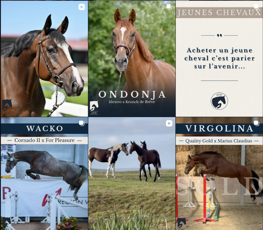 Capture d’écran 2025-12-27 à 15.49.06